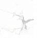 Керамический гранит 60*60 CARRARA GOLD белый полированный MBFS600 (0,36 кв.м.)