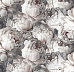 Обои (К) Victoria Stenova Peony 585339 структурные (6)