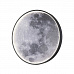 Люстра  ESCADA 10226/SG LED*43W Moon ***