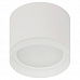 Светильник OL17 Gх53 WH белый (Б0049044)
