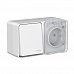 Блок О/П выключатель 1 кл + розетка 1гн с з/к со шт. СЕРЫЙ AtlasDesign PROFI IP54 16А 250B ATN543070