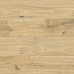 Ламинат Floorwood Paradigma 8335 Дуб Риман 12мм/34кл. (9*0,2416)